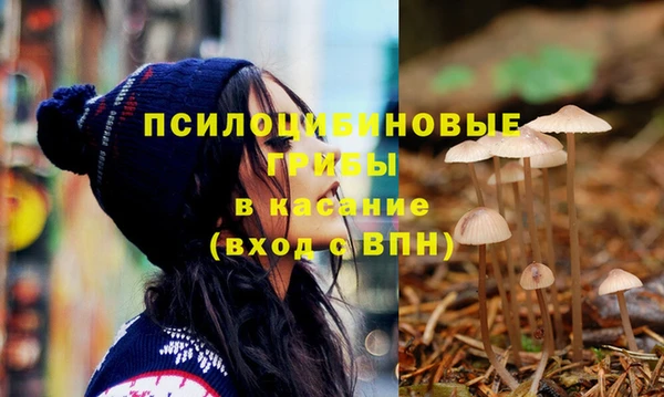 стафф Майский