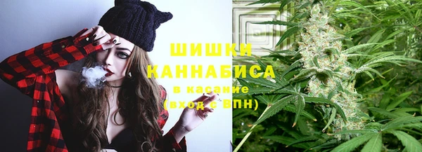 стафф Майский