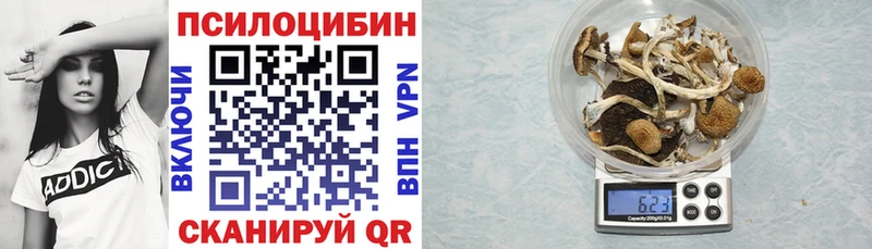 дарнет шоп  Черноголовка  Псилоцибиновые грибы прущие грибы 