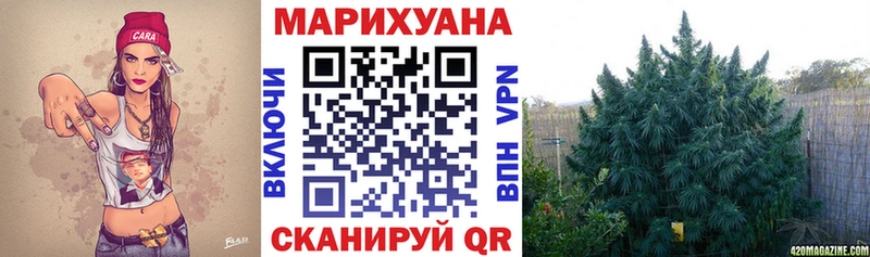 сколько стоит  Черноголовка  Конопля THC 21% 